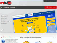 Tablet Screenshot of profornet.com